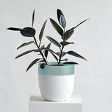 Crown Planter Pot