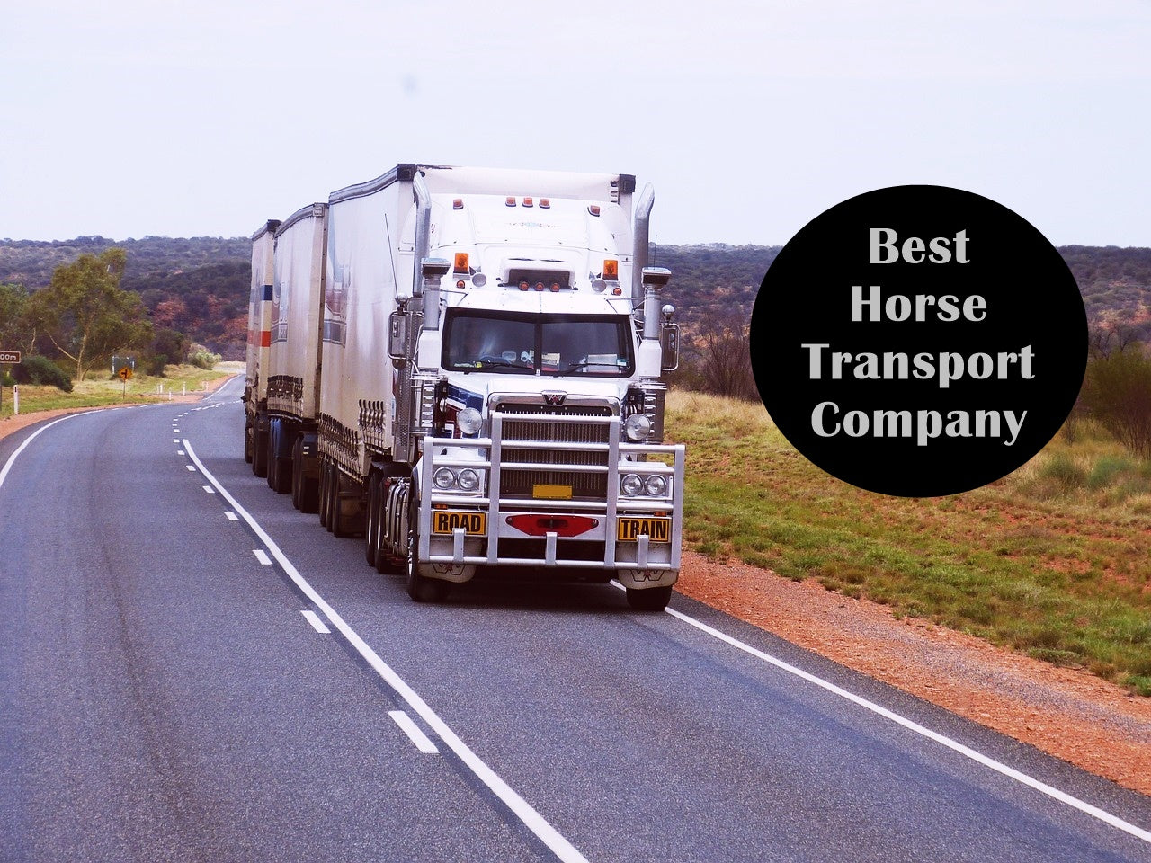 signature-equine-transport