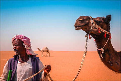 Travel through the desert