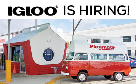 Igloo is hiring!