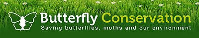 devon moths endorsed by the butterfly conservation