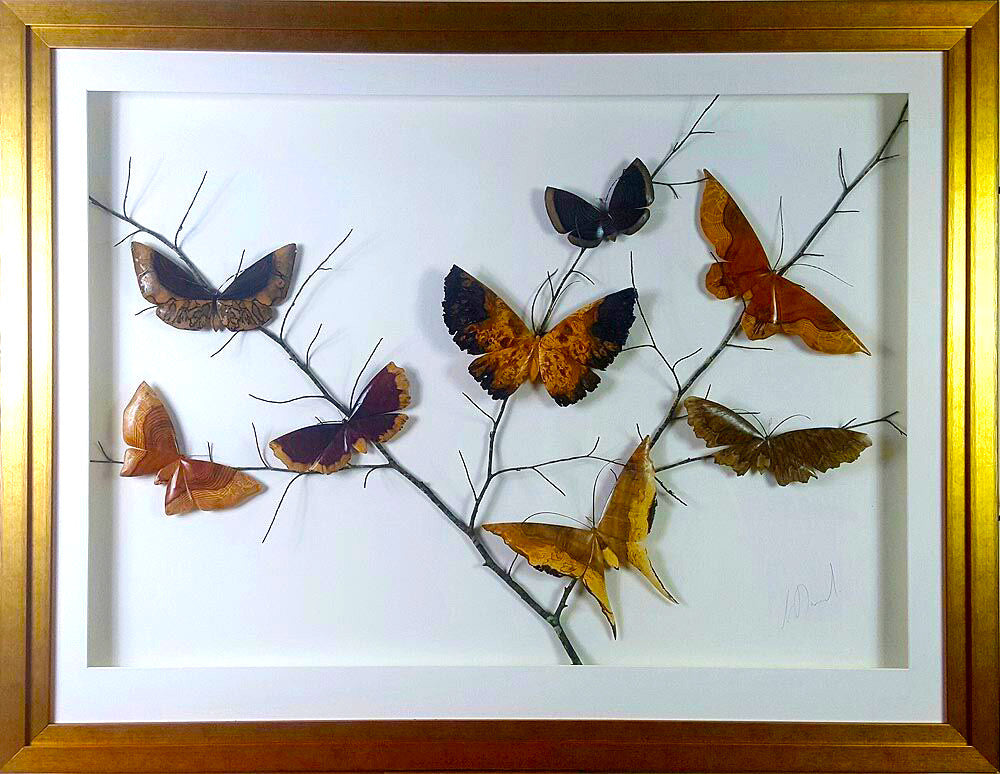 set of 8 devon hardwood moths in a gold frame