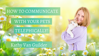 How to communicate with our pets, with expert Kathy Van Guilder