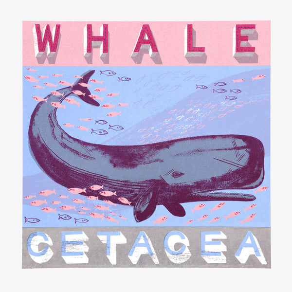Alice Pattullo Whale