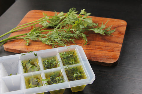 fresh herbs in olive oil cubes