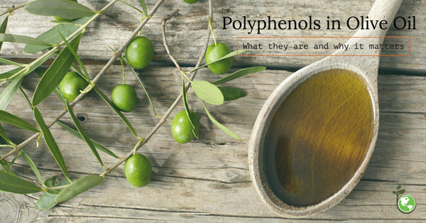 polyphenols and antioxidants in extra virgin olive oil