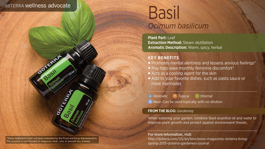 Basil Essential Oil