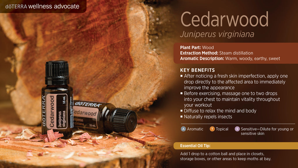 Cedarwood Essential Oil