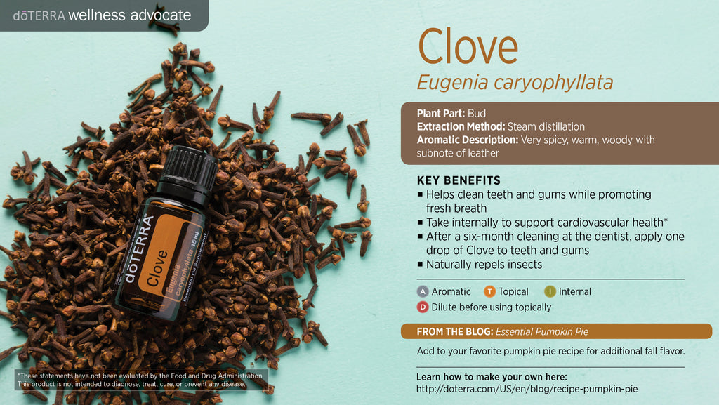 Clove Essential Oil