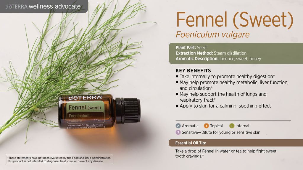 Fennel Essential Oil