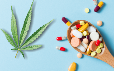 How Does CBD Oil Interact with Medications Blog