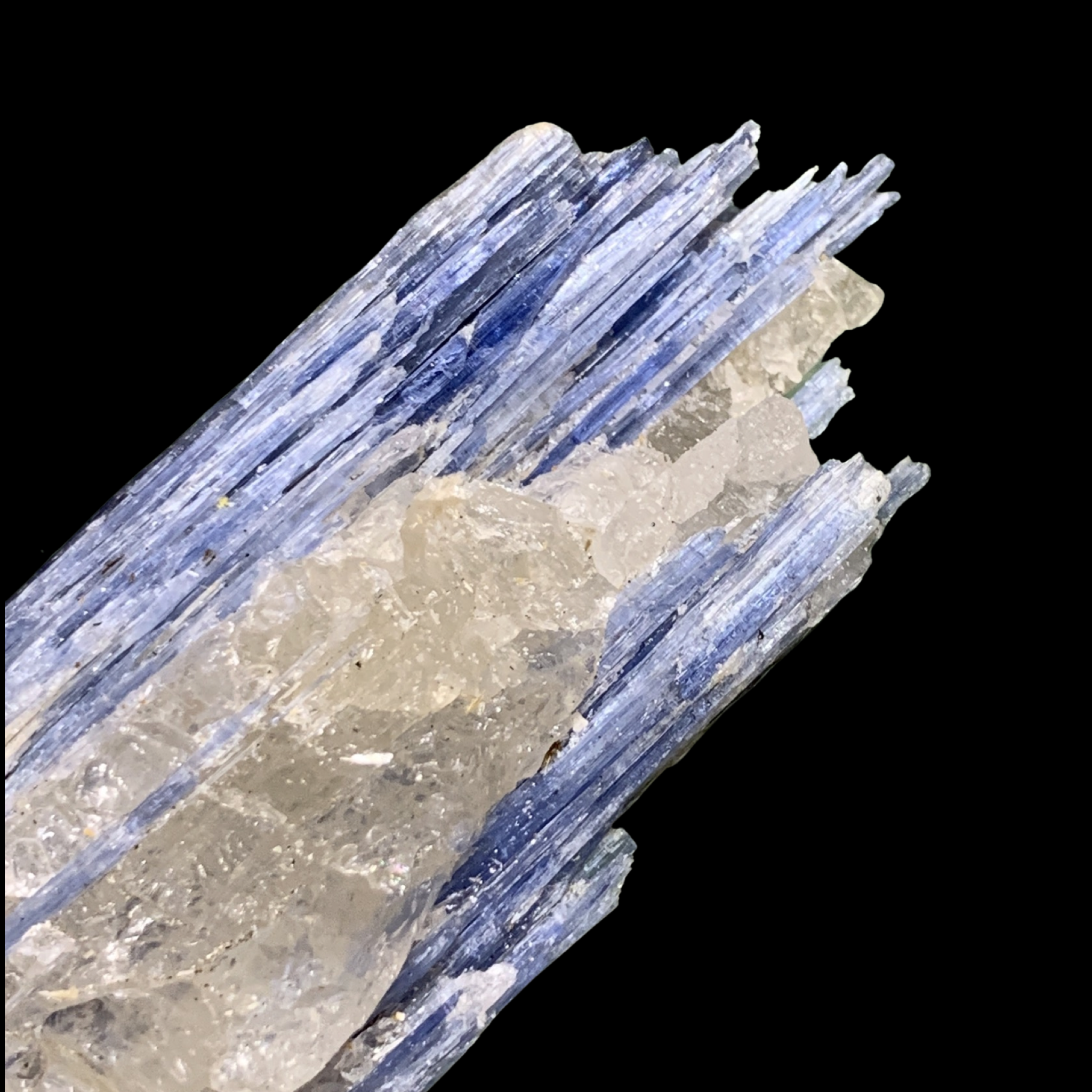 Blue Kyanite Cluster with Quartz