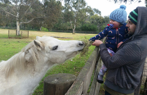Scarlett and her Dad feeding a horse in Attipas Grey Cutie 