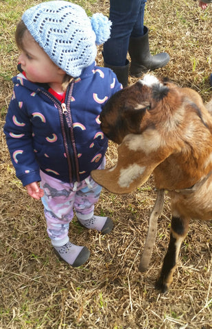 Scarlett patting a goat in Attipas Cutie Grey