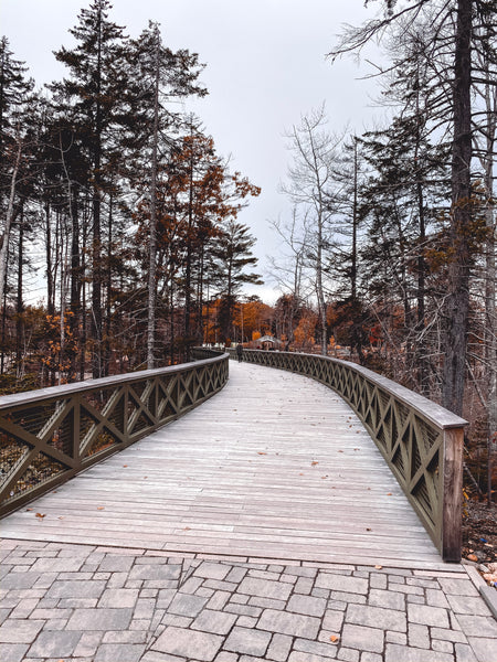 The entrance to the Maine botanical gardens