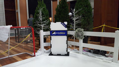 shark-tank-rink-display