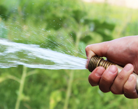 How to dig a perfect hole for planting a new plant