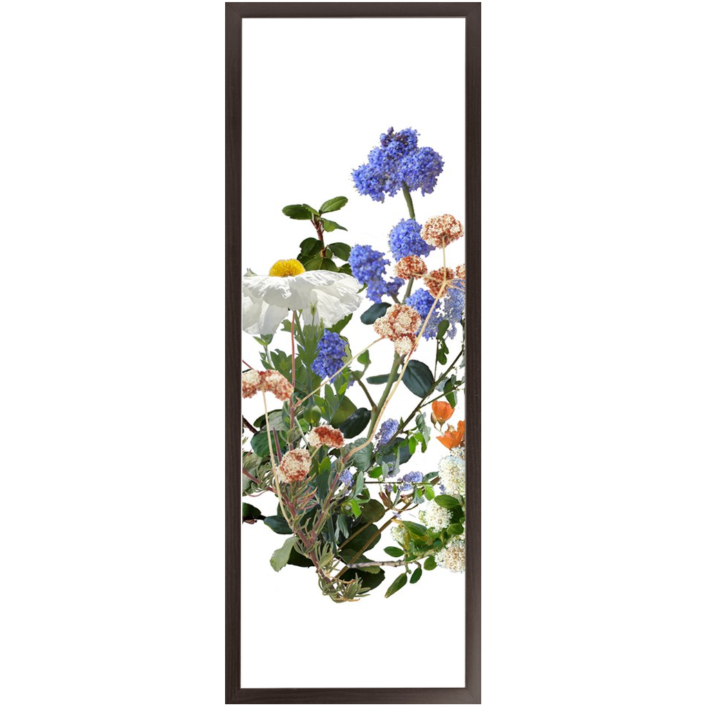 Ceanothus Garden Bouquet Framed Print