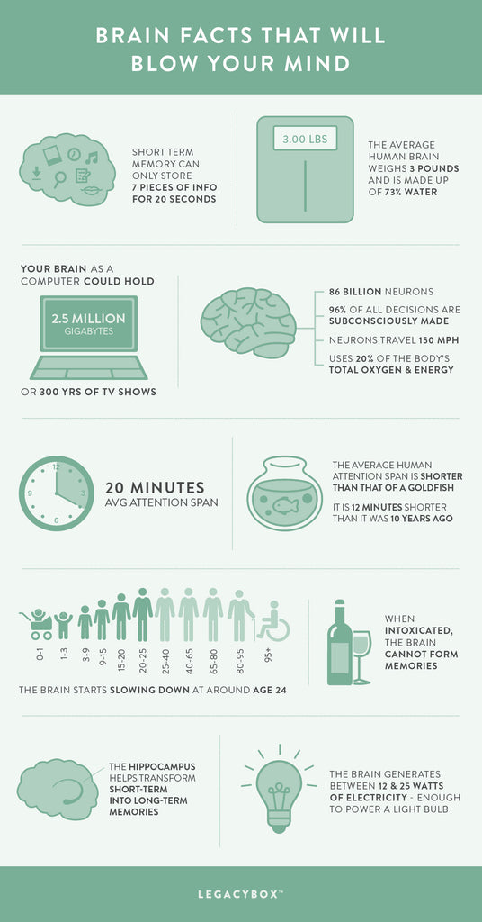 25 Fun Facts About the Brain: Psychology & Human Mind Facts