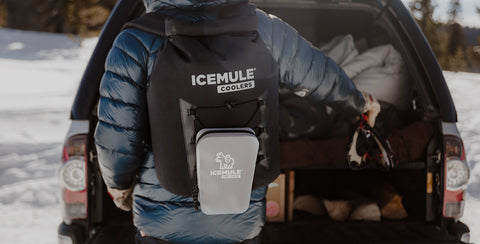 IceMule coolers get packed in the back of the car.
