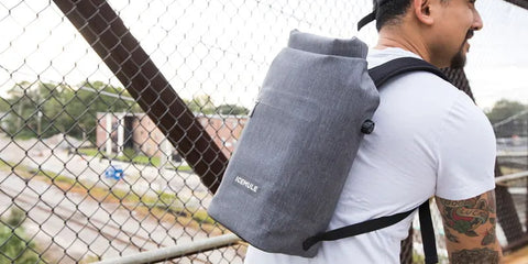 Backpack cooler for travelers