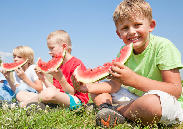 Kids sitting in a field eating large pieces of watermelon.