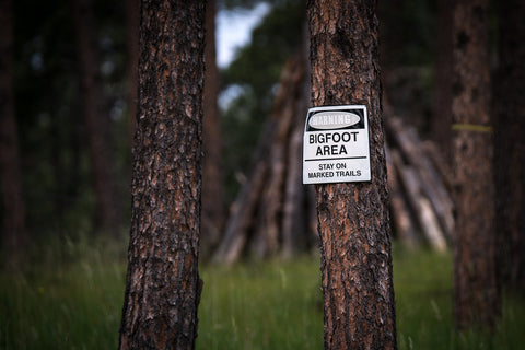 A sign posted in the forest warns against the presence of "Bigfoot" or "Sasquatch"
