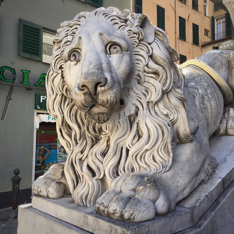 Carved Marble Lion on the Steps of the Cattedrale di San Lorenzo, Genova, Italy (LEO Design)