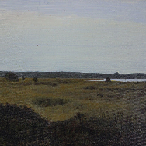 A Marshland Landscape on Eastern Long Island by James Trippe (LEO Design)