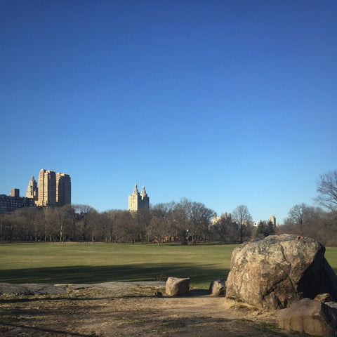 Sheep's Meadow in New York's Central Park (LEO Design)