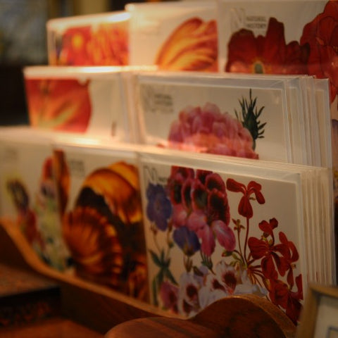 British Spring Floral Greeting Cards at LEO Design