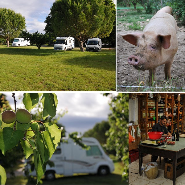 France Passion farm shop with motorhome parking South eastern France