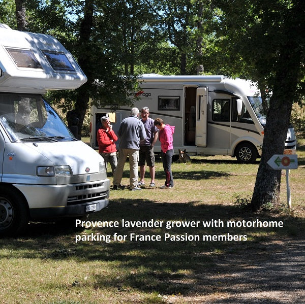 Provence Lavender farm with France Passion motorhome parking