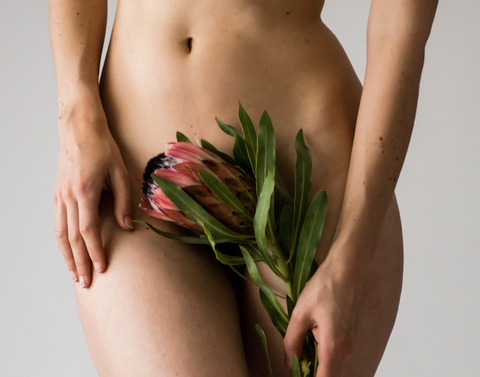 Closeup of Nude Model's Torso Covered by Pink Flower