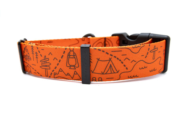 guy harvey leather dog collar