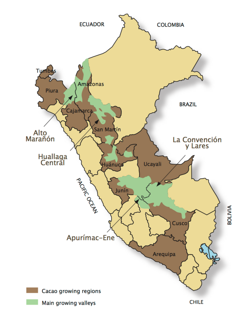 Cacao growing region South America