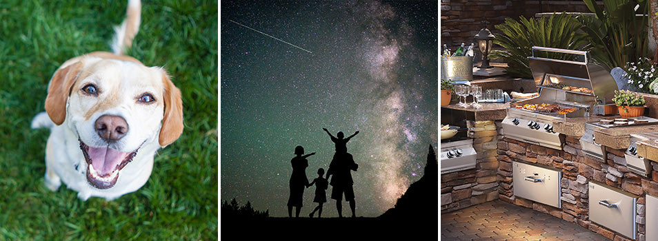 three images stiched into one image. Left image: White and Light brown Happy Dog on green grass, Middle image: Silhouette of family on hill staring out into a star filled night sky, Right image: a luxurious BBQ island with food.