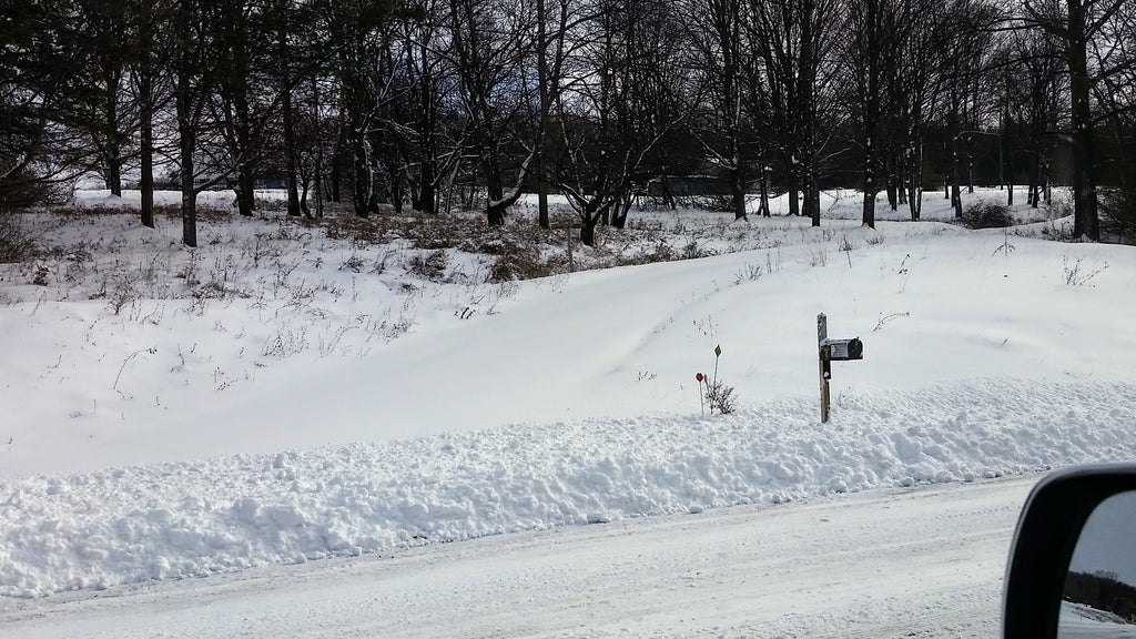 Steep driveway snowed in in the Finger Lakes