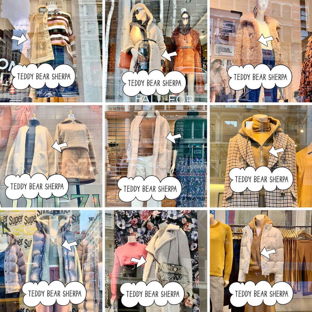 Teddy Bear Sherpa Window Shopping