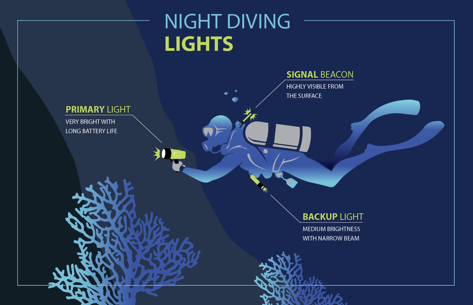 Night Diving Lights