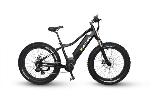 Fat Tire Electric Mountain Bike