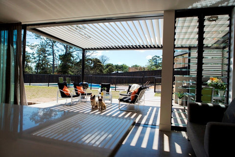 outdoor patio chairs with orange cushions and two dogs