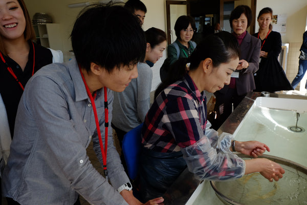 Kubota Aya and Mayumi Takahashi (japanese paper washi makers)