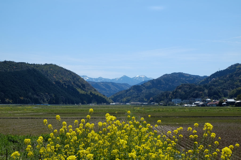 papier-japonais-washi-inshu-aoya-tottori-japon-japan