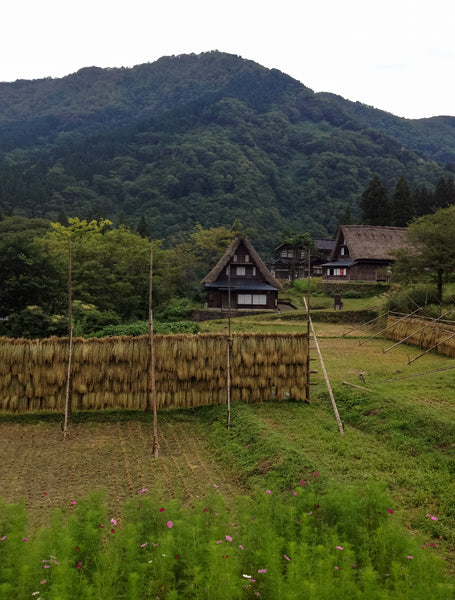 gokayama village washi papier japonais toit chaume gasshozukuri