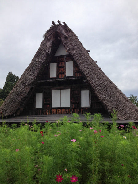 gokayama village washi papier japonais toit chaume gasshozukuri