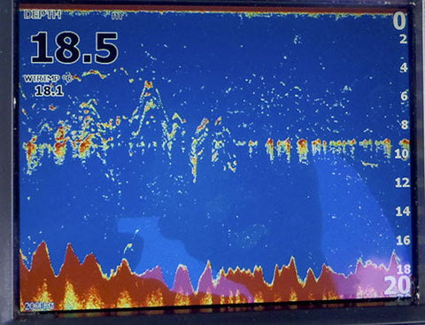 18 meters deeps is a great depth for trolling in the right location