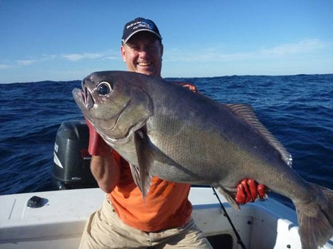 Phil with a Blue Eye caught on braid line off Brisbane