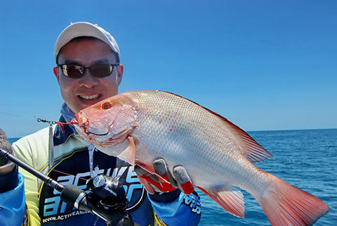 Micro jigging is effective among a huge number of fish species