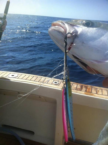 This Kingfish was already hooked on a 100 gram jig when he went for the 250 gram jig aswell!
